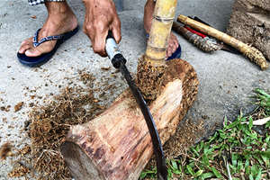 桂竹菸斗製作過程：剁掉桂竹頭密集的根莖與泥土