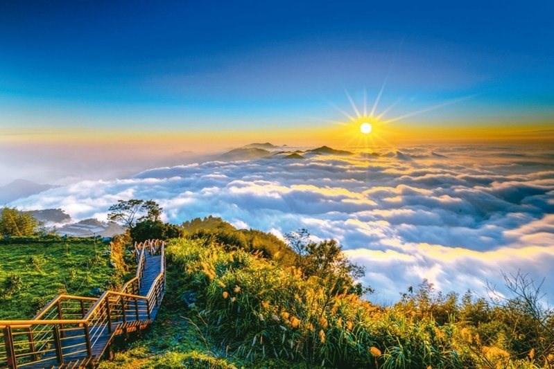 阿里山