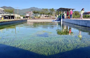 作為主要環境教育的場所-水下森林