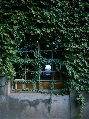 隔絕