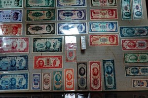 館藏舊台幣與新台幣