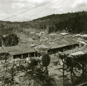 阿里山沼平車站商店街