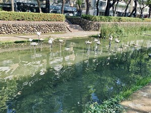 親水公園裝置藝術