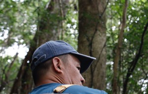 Taya老師爬山的背影