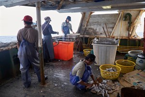 國際漁工