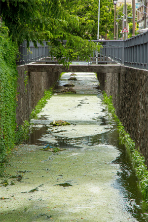 旗山老街 排水圳溝