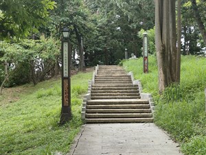 佳里中山公園的風景