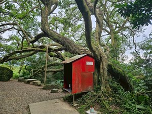 土地公