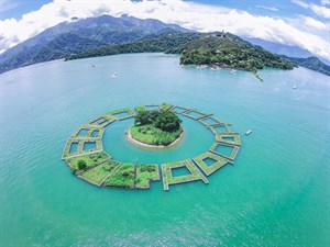 拉魯島