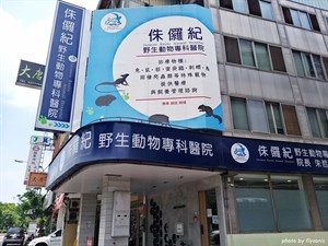 飼養倉鼠寵物之探討