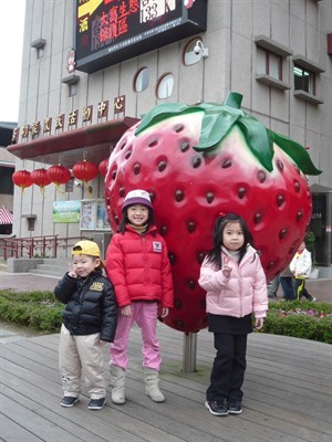 巨大的草莓，渺小的我們