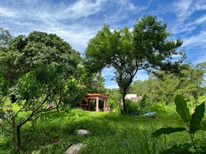 7-4 西坑伯公遠景