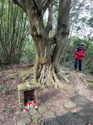 2鄰東坑彭家果園旁磚砌伯公_2