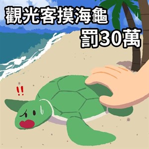 觸摸海龜罰款