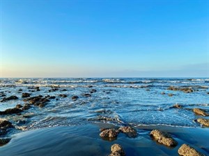 臺灣海峽的海灘多有大石