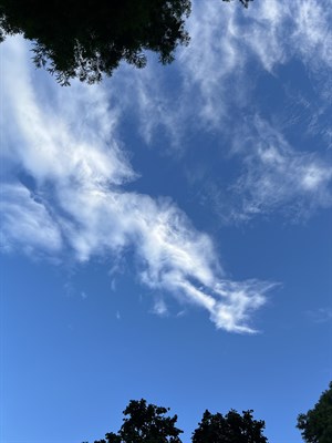 雲