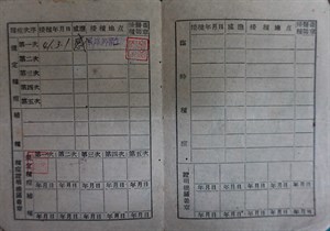 館藏民國40年代種痘證背面資訊