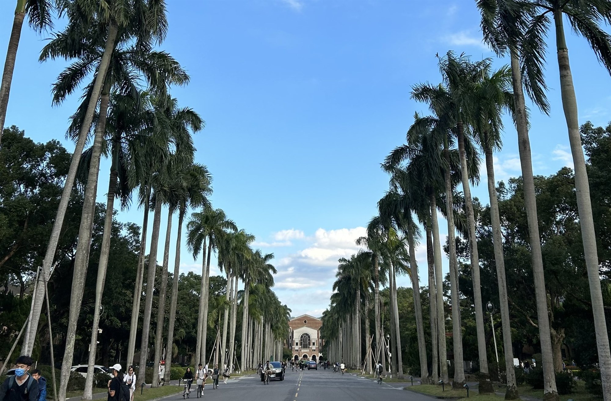 尋找臺大公園裏的漂亮花花🌸