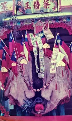 建醮祭典的豬公(2)