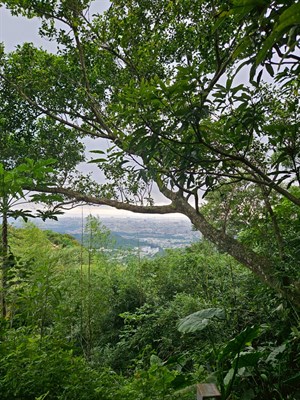 福源山風景