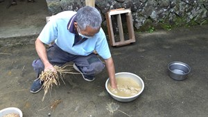 相食穿