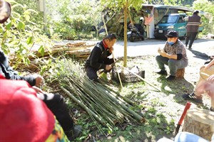 鄒族傳統弓箭製作研習課程