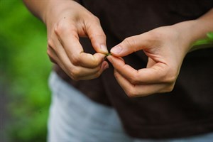 花蓮Dipit-復興無菸部落-採木藍