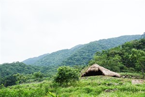 花蓮Dipit-復興無菸部落-笠螺茅草屋