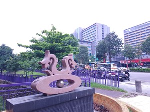 斬龍山公園與土城醫院