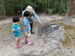 烏山頂噴泥盾