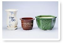 花盆