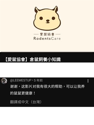 飼養倉鼠寵物之探討