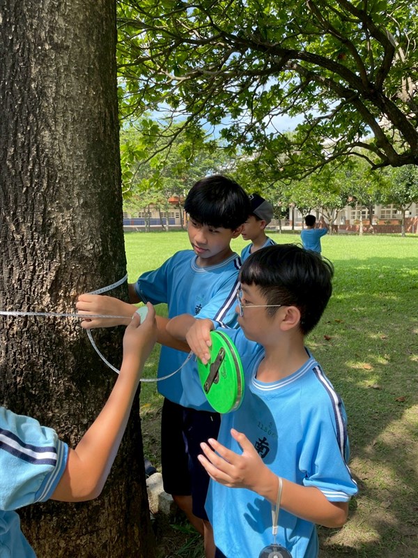 親手懷抱測量老樹