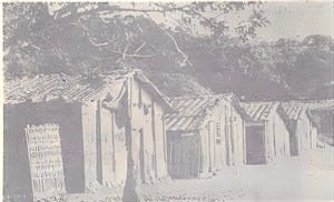 中興新村側景