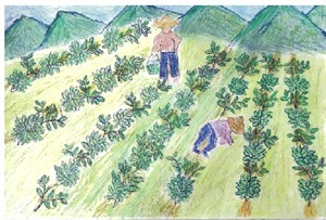 *《種植樹薯》陳夏枝繪