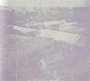 災後興建中之中興新村