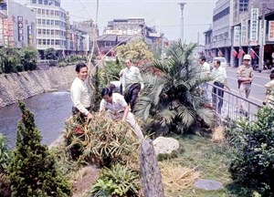 1974年綠川同心花園綠美化