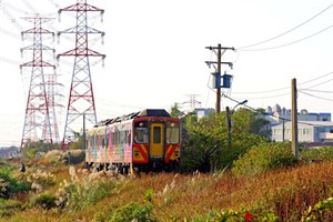 火車在電塔、芒花襯托下現身了，別有另番風味