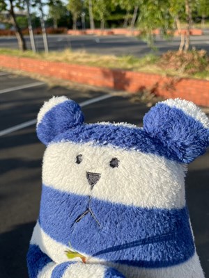 檸檬草與剉冰