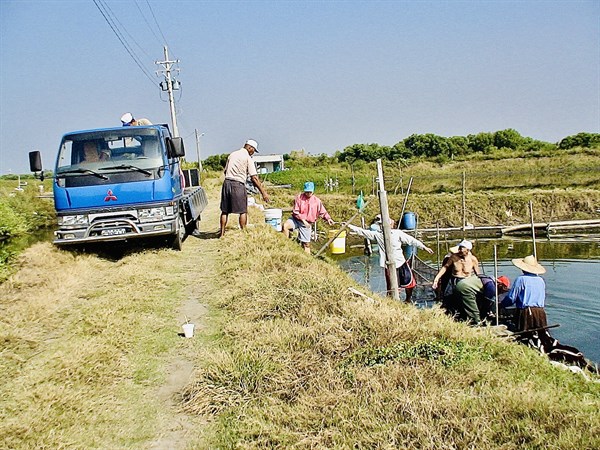 翻過這窟  英雄從此起身