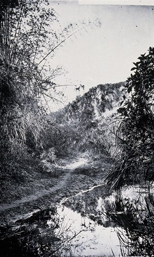 約翰．湯姆生（John Thomson）所記錄於惡地環境中的竹林景觀