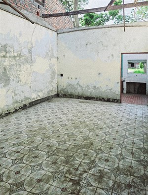 建國二村場域(完成)