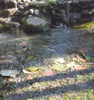 梅川生態親水公園