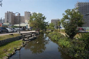 水道旁造景與綠植