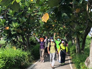 踏溯山海圳綠道