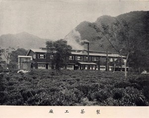 《臺茶輸出百年簡史》內收錄之茶葉工廠照片