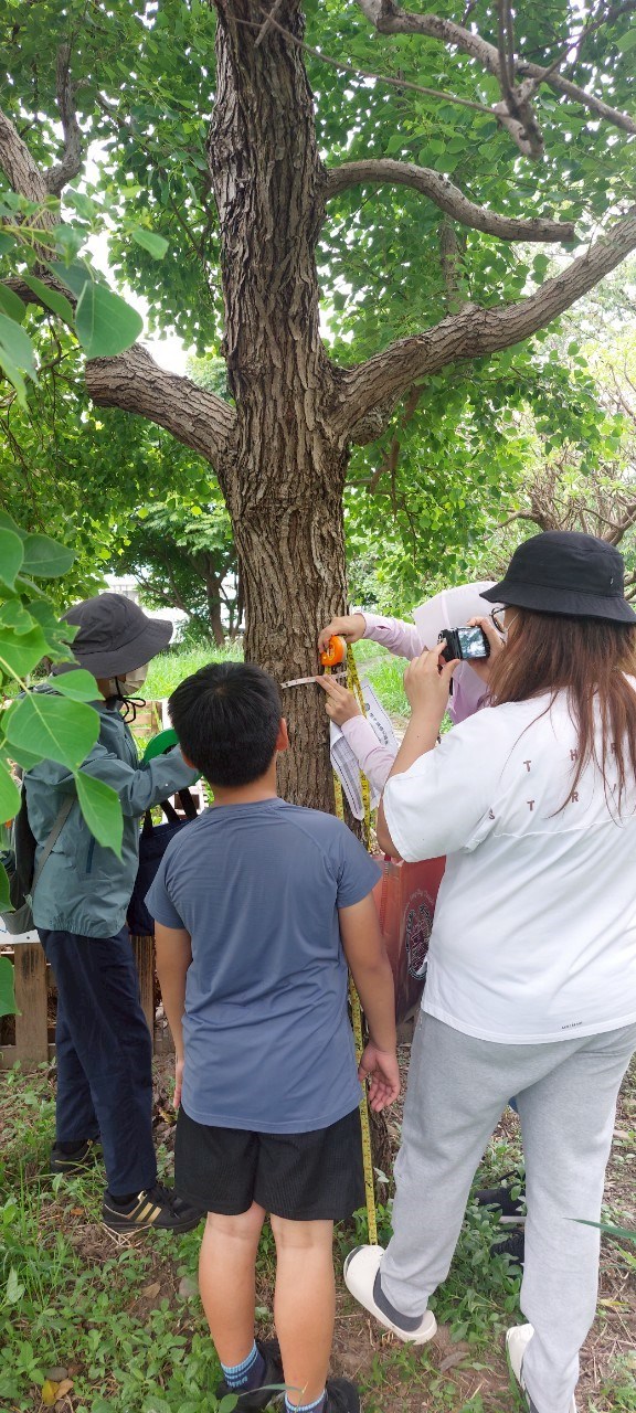 固碳從舊港島出發~