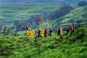 白沙屯媽祖進香-遊庄遶境