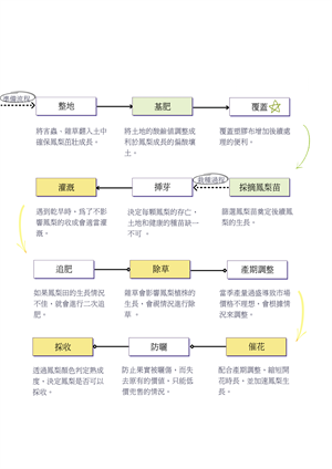 鳳梨種植次序