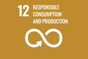 SDGS 12